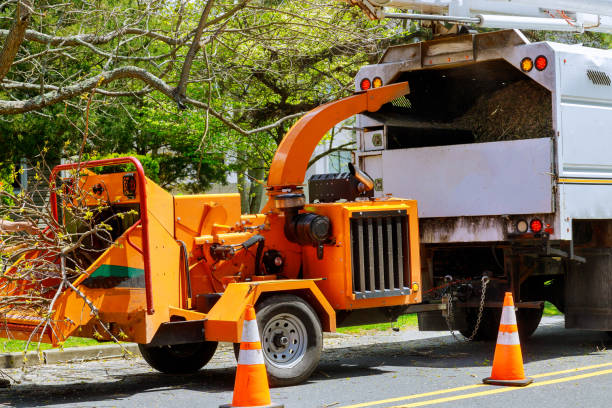  Goose Creek Village, VA Tree Removal and Landscaping Services Pros